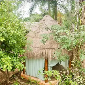 Oma - Holistic Healing Center Cancun